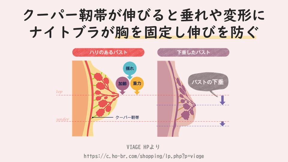 クーパー靭帯が伸びると垂れや変形にナイトブラが胸を固定し伸びを防ぐ